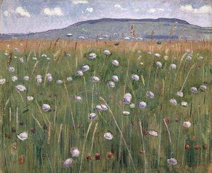 Pièce de prairie, vers 1901