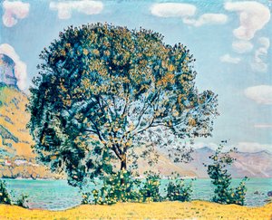 Image inconnue - Ferdinand Hodler