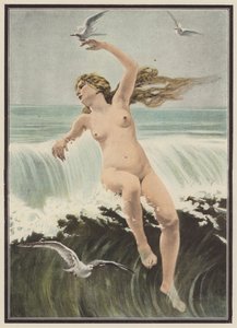 Vagues et mouettes - Ferdinand Victor Eugene (after) Delacroix