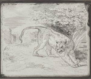 Un tigre piégé, 1854 - Ferdinand Victor Eugene Delacroix