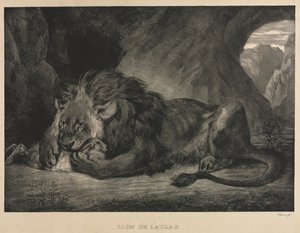 Lion de l