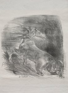 Le Cheval Sauvage, ou Cheval Effrayé Quitte l