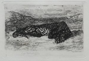 Tigre couché dans le désert