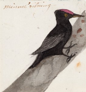 Le grand pic noir - Ferdinand von Wright