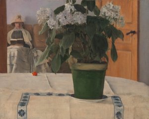 Hortensia
