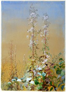 Sans titre - Fidelia Bridges