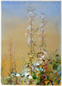 Sans titre, vers 1876 - Fidelia Bridges