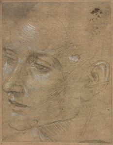 Tête d