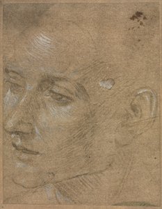Tête d