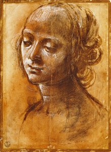 Figure féminine, par Filippino Lippi - Filippino Lippi