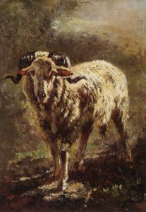 Chèvre
