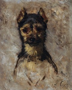 Tête de chien - Filippo Palizzi
