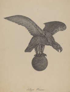 Aigle - Filippo Porreca