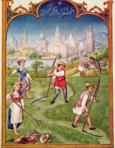 Le mois de juin : Fenaison, du Breviarium Grimani, c.1515 - Flemish School