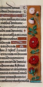 Ms. 1058-1975, f.120r: (détail) d