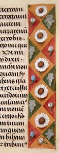 Ms. 1058-1975, f.16r : (détail) - Flemish School