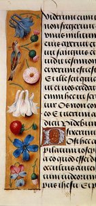 Ms. 1058-1975, f.22v: (détail) d