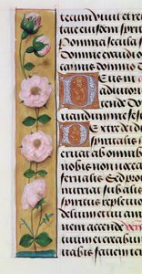 Ms. 1058-1975, f.34v : détail d