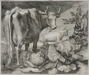 Gravure de maître ancien - Flemish School