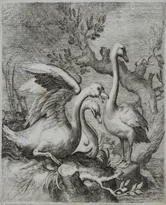 Gravure de maître ancien