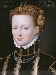 Portrait de Sophia Jagiellon (1522-1575) en costume espagnol - Flemish School