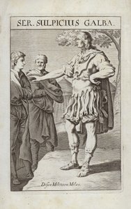 Ser Sulpicius Galba - Flemish School
