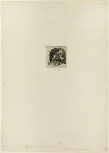 Maraîcher flamand