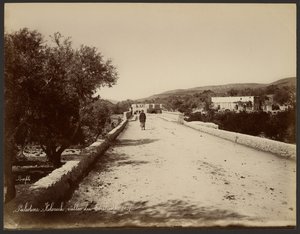 Palestine - Kolonick, vallée du Térébinthe - Félix Bonfils
