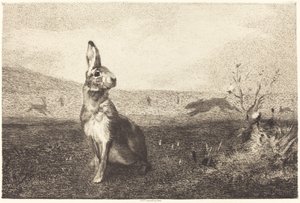 Le lièvre - Félix Bracquemond after Albert de Balleroy
