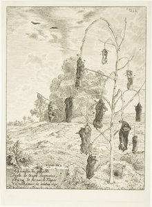 Moles - Félix Henri Bracquemond