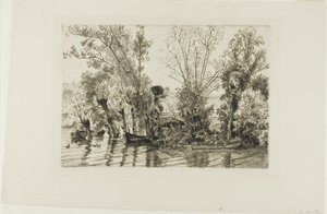 Les saules de Mottiaux