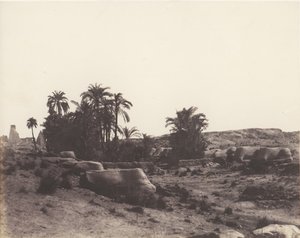 Karnak Thèbes, Avenue des Sphinx - Vue générale prise du point G, 1851-52, imprimé 1853-54 - Félix Teynard
