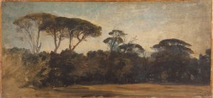 Pins parasols près de Naples, vers 1847 - Félix Ziem