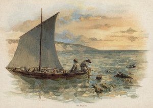 Scène de La Famille suisse Robinson : amener les animaux de l