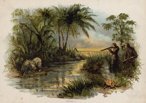 Scène de La Famille suisse Robinson : chasse au lion - Florence Maplestone