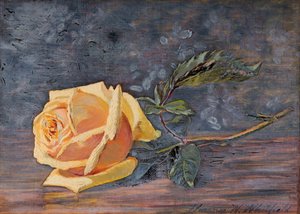 Rose jaune - Florence Westwood Whitfield