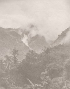Jungle brumeuse 3, 2024 - Florent Bodart