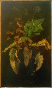Anémones et feuilles - Floris Verster