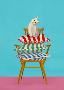Un chat curieux sur des coussins