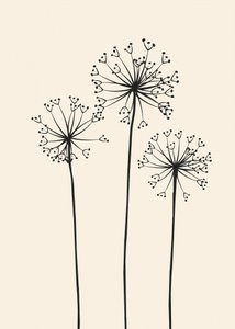 Fleurs de pissenlit minimalistes