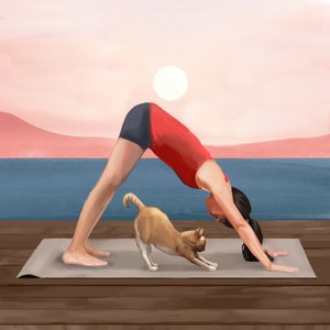 Le chat du yoga au lever du soleil