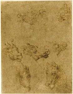 Têtes de chevaux et de licornes - Follower of Leonardo da Vinci