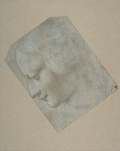 Tête de femme de profil tournée vers la gauche - Follower of Leonardo da Vinci.