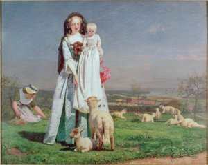 Jolis petits agneaux