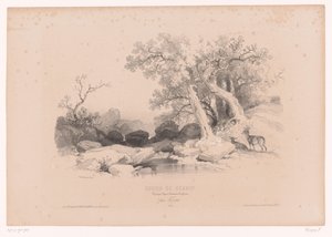 Paysage rocheux avec eau et deux cerfs (Cours de dessin. Paysages, figures, animaux, accessoires, par Férogio) - Fortuné Ferogio