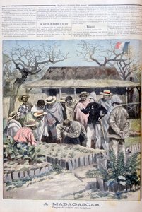 Leçon agricole pour les indigènes de Madagascar, 1897 - Fortuné Méaulle