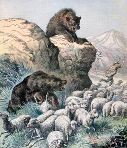Les ours du Cagyre, 1891