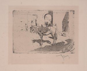 Cheval du Maroc