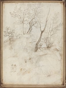 Deux frères sur une colline