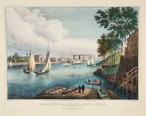 Île Blackwells, East River